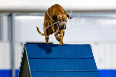 12-8-9-10-Jen-Pinder-1869