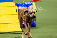 12-8-9-10-Jen-Pinder-1871