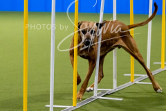 12-8-9-10-Jen-Pinder-1874