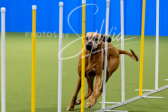 12-8-9-10-Jen-Pinder-1883