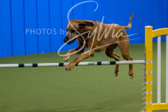 12-8-9-10-Jen-Pinder-1886