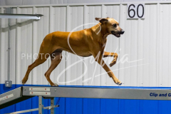 12-8-9-10-Jen-Pinder-1896