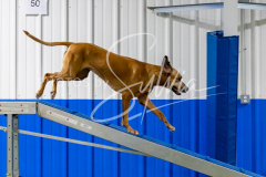 12-8-9-10-Jen-Pinder-1897