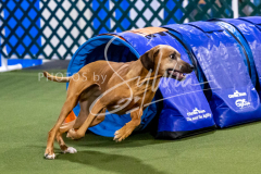 12-8-9-10-Jen-Pinder-1898