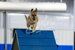 12-8-9-10-Jen-Pinder-1901