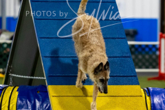 12-8-9-10-Jen-Pinder-1902