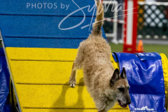 12-8-9-10-Jen-Pinder-1908