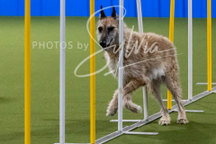 12-8-9-10-Jen-Pinder-1909