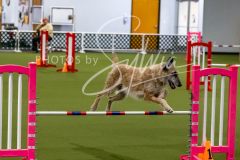 12-8-9-10-Jen-Pinder-1917