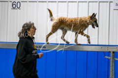 12-8-9-10-Jen-Pinder-1932