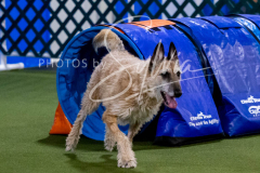 12-8-9-10-Jen-Pinder-1933