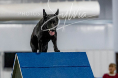 12-8-9-10-Jen-Pinder-1939