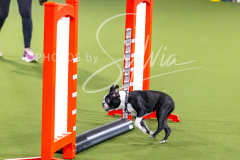 12-8-9-10-Jen-Pinder-209