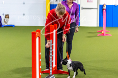 12-8-9-10-Jen-Pinder-211