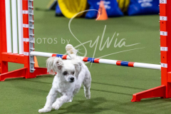 12-8-9-10-Jen-Pinder-2264