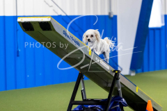 12-8-9-10-Jen-Pinder-2275