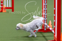 12-8-9-10-Jen-Pinder-2287