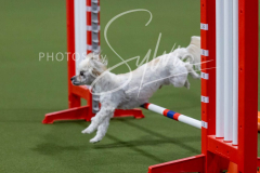 12-8-9-10-Jen-Pinder-2292