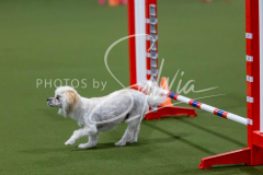 12-8-9-10-Jen-Pinder-2293