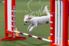 12-8-9-10-Jen-Pinder-2308