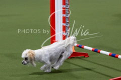 12-8-9-10-Jen-Pinder-2309