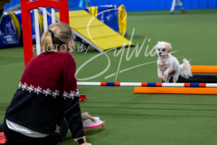 12-8-9-10-Jen-Pinder-2318