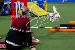 12-8-9-10-Jen-Pinder-2319