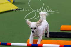 12-8-9-10-Jen-Pinder-2323