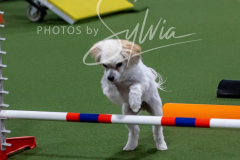 12-8-9-10-Jen-Pinder-2326