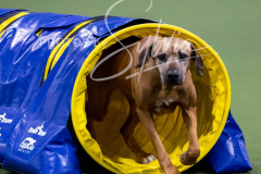 12-8-9-10-Jen-Pinder-2334