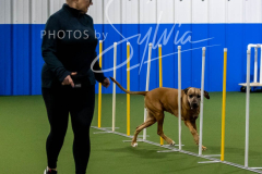 12-8-9-10-Jen-Pinder-2336