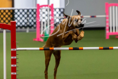 12-8-9-10-Jen-Pinder-2342