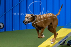 12-8-9-10-Jen-Pinder-2348