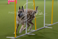 12-8-9-10-Jen-Pinder-2357