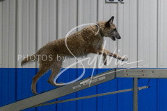 12-8-9-10-Jen-Pinder-2364