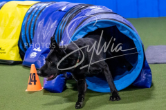 12-8-9-10-Jen-Pinder-2366