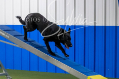 12-8-9-10-Jen-Pinder-2367