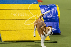 12-8-9-10-Jen-Pinder-2371