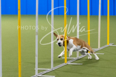 12-8-9-10-Jen-Pinder-2373