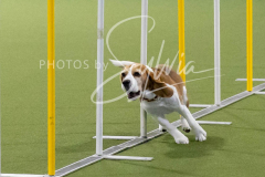 12-8-9-10-Jen-Pinder-2374