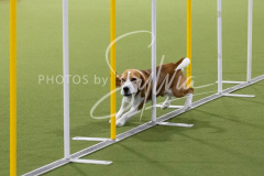 12-8-9-10-Jen-Pinder-2376