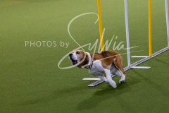 12-8-9-10-Jen-Pinder-2378