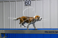 12-8-9-10-Jen-Pinder-2380