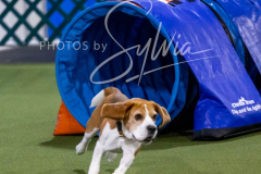 12-8-9-10-Jen-Pinder-2381