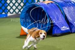 12-8-9-10-Jen-Pinder-2382