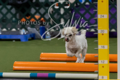 12-8-9-10-Jen-Pinder-2386