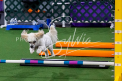 12-8-9-10-Jen-Pinder-2399