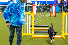 12-8-9-10-Jen-Pinder-240