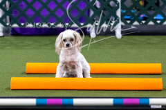 12-8-9-10-Jen-Pinder-2412