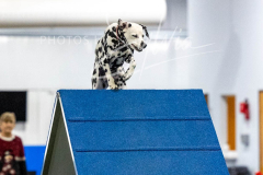 12-8-9-10-Jen-Pinder-2423